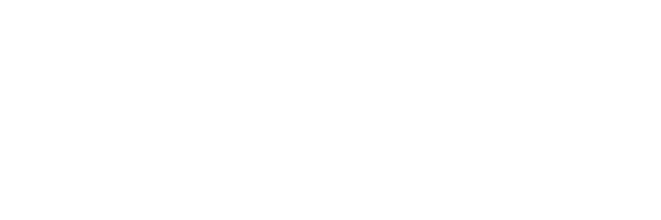 Slim Academy logo