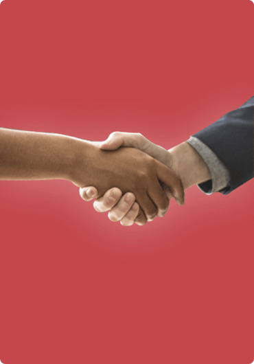 Hoefnagels Partner Portal - DTT apps