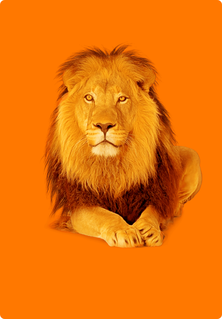 ING Marketingdag app - DTT apps