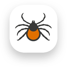app image icon
