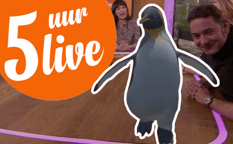 King Penguin at 5 Uur Live