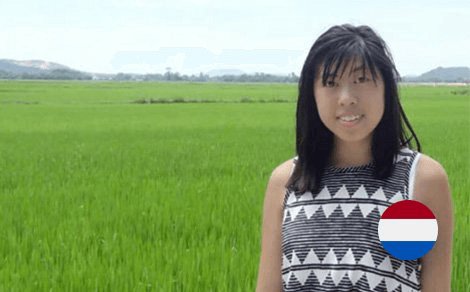 Lananh Nguyen Anh | UI (Graphic Design) Internship