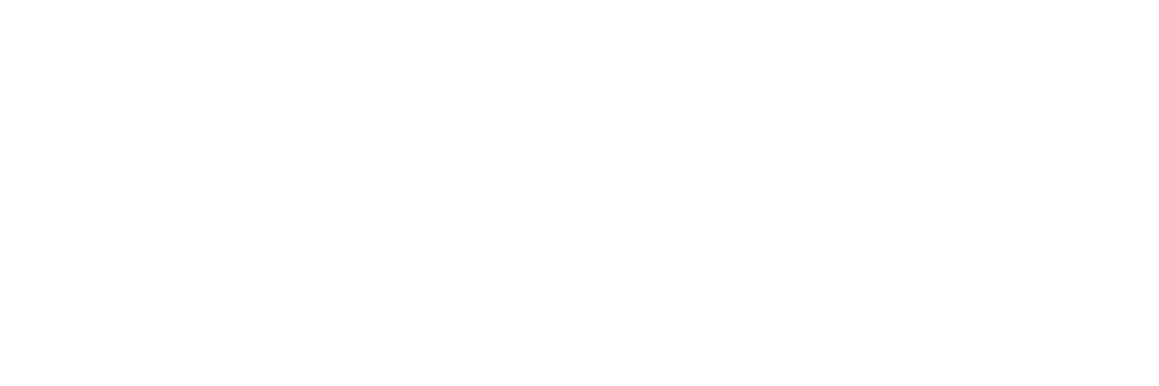 HG webshop logo