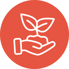 Quick Scan: advies op maat voor jouw oplossing